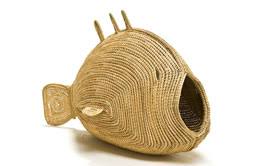 Bildergebnis für Yvonne Koolmatrie