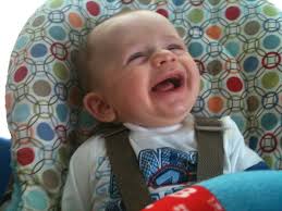 This guy is so fun!! Growing fast.