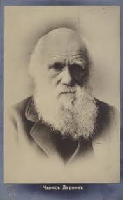 Charles Darwin, print after the painting by W.W. Ouless, illustration from  'The History of the Nation'