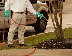 Landscaping & landscape design in austin, tx. Lawn Services Austin Tx Abc Home Commercial Services