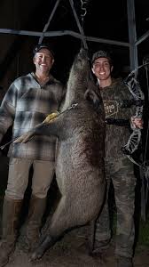 Check spelling or type a new query. Offseason Hog Hunting Gohunt