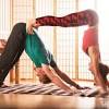 Here are some couple yoga poses for beginners. Https Encrypted Tbn0 Gstatic Com Images Q Tbn And9gctzn8q63kbi0new9 Dsssw2qm5 Phvizltq8yswbfsnqv4 Qf4r Usqp Cau