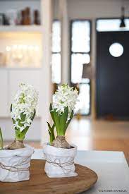 Valkoinen Harmaja Divaaniblogit Flower Arranging Courses Spring Planter White Flowers