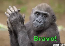 Weitere ideen zu gif bilder lustig, bilder, lustige bilder. Bravo Gif Bilder Lustig Gif Lustig Tiere Lustige Bilder