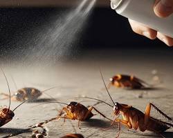 Image de pest control steam treatment antique furniture royalty free