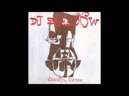 Dj Shadow In Flux Youtube