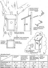 Tekening Vogelhuis Vogelhuisje Nestkastje Vogelhuisje Plannen