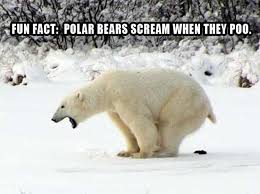 Can T Be True But Lolz Laughing So Hard Funny Pictures Bones Funny
