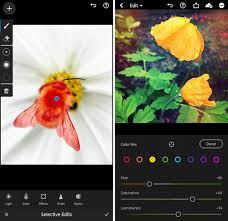 Ipad mini deal at amazon: The 10 Best Photo Editing Apps For Iphone 2021 Edition