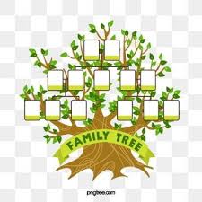 شجرة العائلة الشجرة الكبيرة عضو إطار الصورة Png وملف Psd للتحميل مجانا Family Tree Clipart Family Tree Logo Art Drawings For Kids