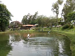 28/02/2021 18:59:47 {0:countryname} observe daylight saving time (summer hours / winter hours)coordinated universal time utc : Pesque Pague Pantanal Cianorte Restaurant Reviews Photos Phone Number Tripadvisor