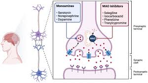 Image result for Isocarboxazid