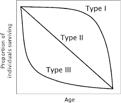 Maybe you would like to learn more about one of these? 1 Theoretical Survivorship Curves For Fish Populations Characterised Download Scientific Diagram