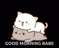 Peach Cat Cute Gif Peach Cat Cute Good Morning Babe Discover Share Gifs