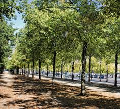 Napa tree services loves supporting our fellow tree care business owners around the country. Https Www Climate Service Center De Imperia Md Content Csc Report24 Pdf