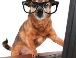 Maybe you would like to learn more about one of these? Humane Society For Hamilton County