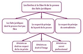 Unjf Introduction Au Droit
