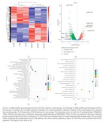 Gale Onefile Health And Medicine Document Morphological And Transcriptome Analyses Provide Insights Into Growth Inhibition Of Trichophyton Rubrum Caused By Laser Irradiation