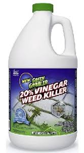 Check spelling or type a new query. Best Pet Friendly Weed Killers For Lawns In 2021 Insightweeds
