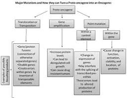 Cancer And The Cell Cycle Boundless Biology