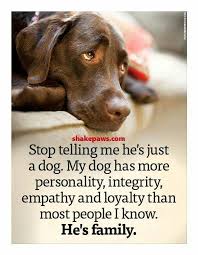 You Offend My Dog You Offend Me It Hurts More When You Diss My Dog Than When You Call Me Names And Treat Me Like Shit Dog Quotes Dog Love Dogs
