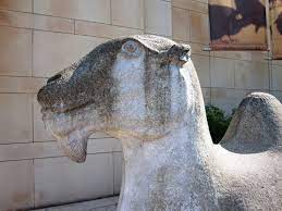 Seattle asian art museum buddha temple sculptures lion sculpture gems bronze statue 16th century dancing. Seattle Art Museum Suspended Soul