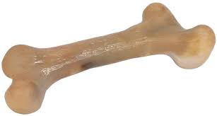 Pet Supplies Pet Qwerks Extreme Dinosaur Barkbone Dog Chew Toy Bacon Flavor Xlarge Amazon Com