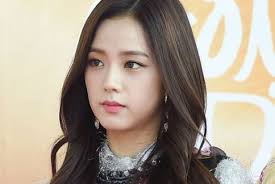 After this, netizens all came to the conclusion that both suzy and jisoo are on the same level but different in their own way. Jisoo Black Pink Facts And Profile Updated