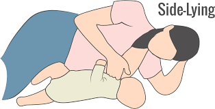 「breastfeeding side lying」の画像検索結果