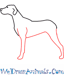 How To Draw A Dog Follow along and discover how easy it is to.
