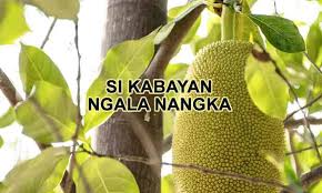 Sejarah, kesenian, budaya, dsb > buku/novel bahasa sunda. Dongeng Sunda Si Kabayan Ngala Nangka Penulis Cilik