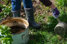 Maybe you would like to learn more about one of these? Which Kinds Of Manure Are Best For Your Garden