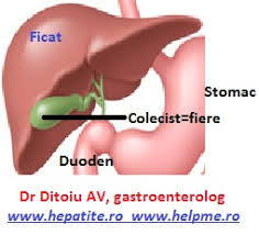 In crizele acute, preparatele din gheara dracului (harpagophytum) reduc durerea si inflamatia si au efect tonic asupra vezicii biliare. Probleme Cu Fierea Si Ficatul Cabinet De Gastroenterologie Si Hepatologie Bucuresti 0758 751 841 Cabinet De Gastroenterologie Si Hepatologie Bucuresti 0758 751 841