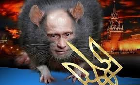 НАТО може багато чому повчитися в України, - міністр оборони Великої Британії Воллес - Цензор.НЕТ 6200
