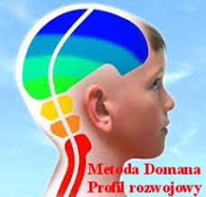 Metoda Domana Bity inteligencji