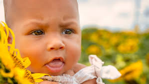 Congratulations to our photographers in DEPS 2025 calendar