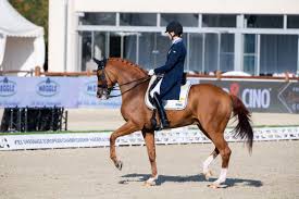 Half Seat Improves Horse Riding Position, Balance, And Confidence | Things  That Bounce, Canter, Riding