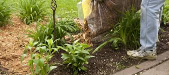 They are holding soil in place. Soil Erosion Understanding The Causes And Prevention Methods Dave S Garden