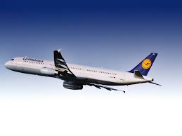 Shipments are going ahead as planned. How To Book A Flight On Lufthansa For Your Pet Petrelocation
