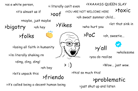 Vocabulary Of The Nu Male Soy Boy Face Soyjak Know Your Meme