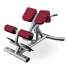 Back extensions strengthen all the muscles of the posterior chain. Back Extension No Equipment Workout How To Use Gym Equipment Used Gym Equipment