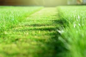 Ryobi landscapes offers advice, instruction and inspiration for lawn and garden enthusiast aspiring to boost their home s curb appeal. Garden Equipment Tools Furniture High Quality Garden Tools Suttons