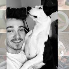 Adopter chien à Dallet BÉNÉVOLES ⋆ Passionnés et assurés ⋆ Emprunte Mon  Toutou