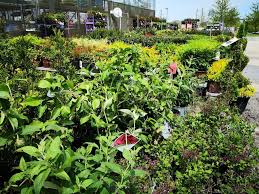 Jetzt online inspirieren und shoppen! Garden Center At The Home Depot 181 S Gulph Rd King Of Prussia Pa 19406 Usa