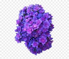 Floweral vector flower on the white background purple flowers white background purple flower on white purple flower watercolor spring set blur beautiful nature purple flower vector. Purple Flowers Transparent Flower With Transparent Background Clipart 82846 Pikpng