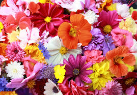 Check spelling or type a new query. Where To Find The Cheapest Flower Shops Dubai Jlt Uae Flowers Delivery
