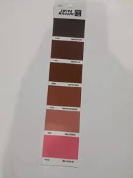 Multicolor Nippon Paint Pg75 Shade Card
