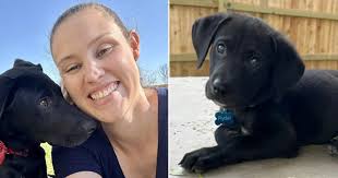 Dia Mengadopsi Anak Anjing , Dia Tak Menyangka Akan Menyelamatkan Hidupnya 