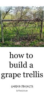 Free plans and projects out of pvc pipe. How To Build Grape Trellis Support Eat Travel Life