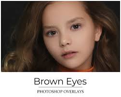 Replacement Brown Eye